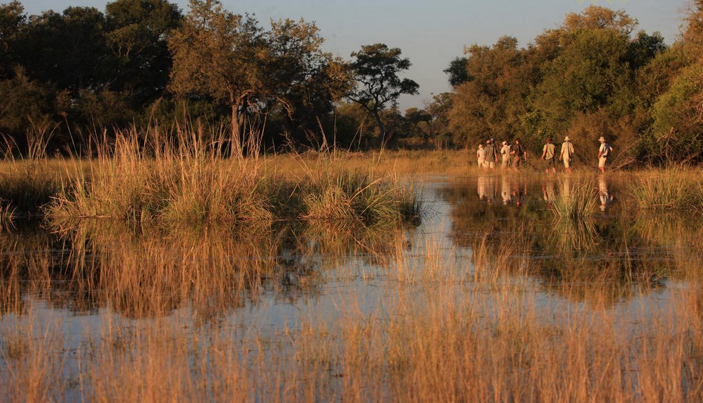 Les Safari - Nous Ferons La Route Ensemble Les Safari - Nous Ferons La Route Ensemble