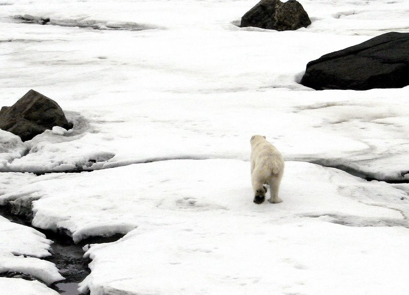 Voyage au Canada – Québec – Nunavik 27