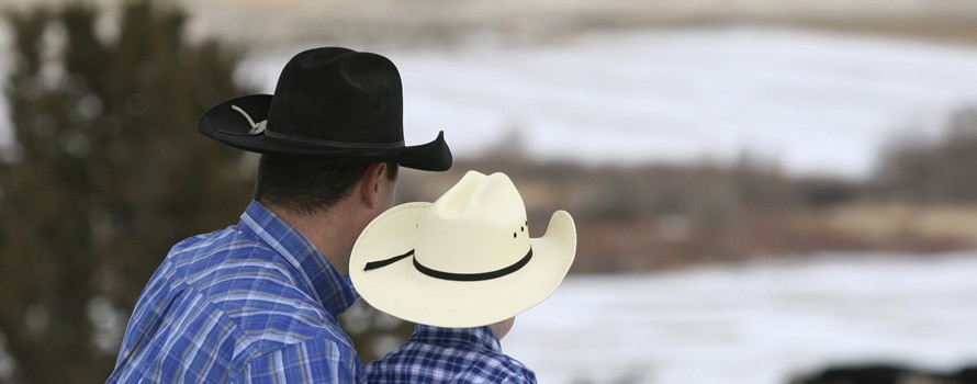 Do you speak cow-boy? Do you speak cow-boy?