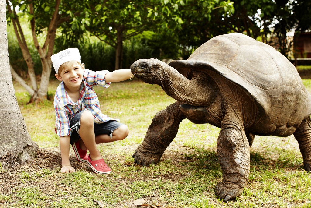 FREGATE SEYCHELLES (9)
