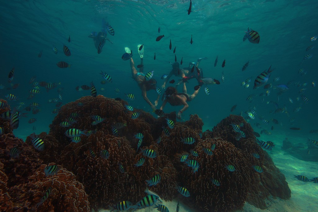 Kid Snorkelling