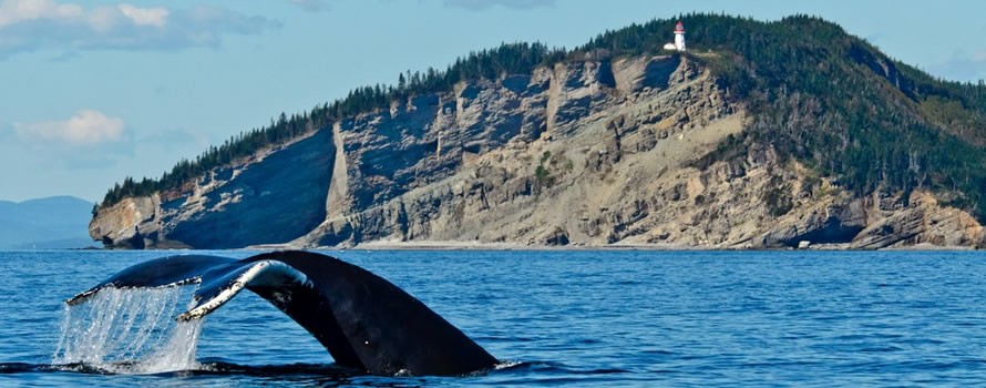 Un pêcheur accompagné en vaut deux Un pêcheur accompagné en vaut deux