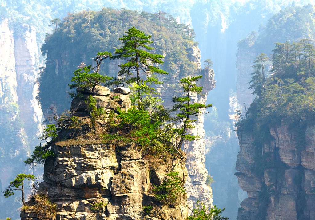 CHINE – Zhangjiajie national park – Copyright silver-john